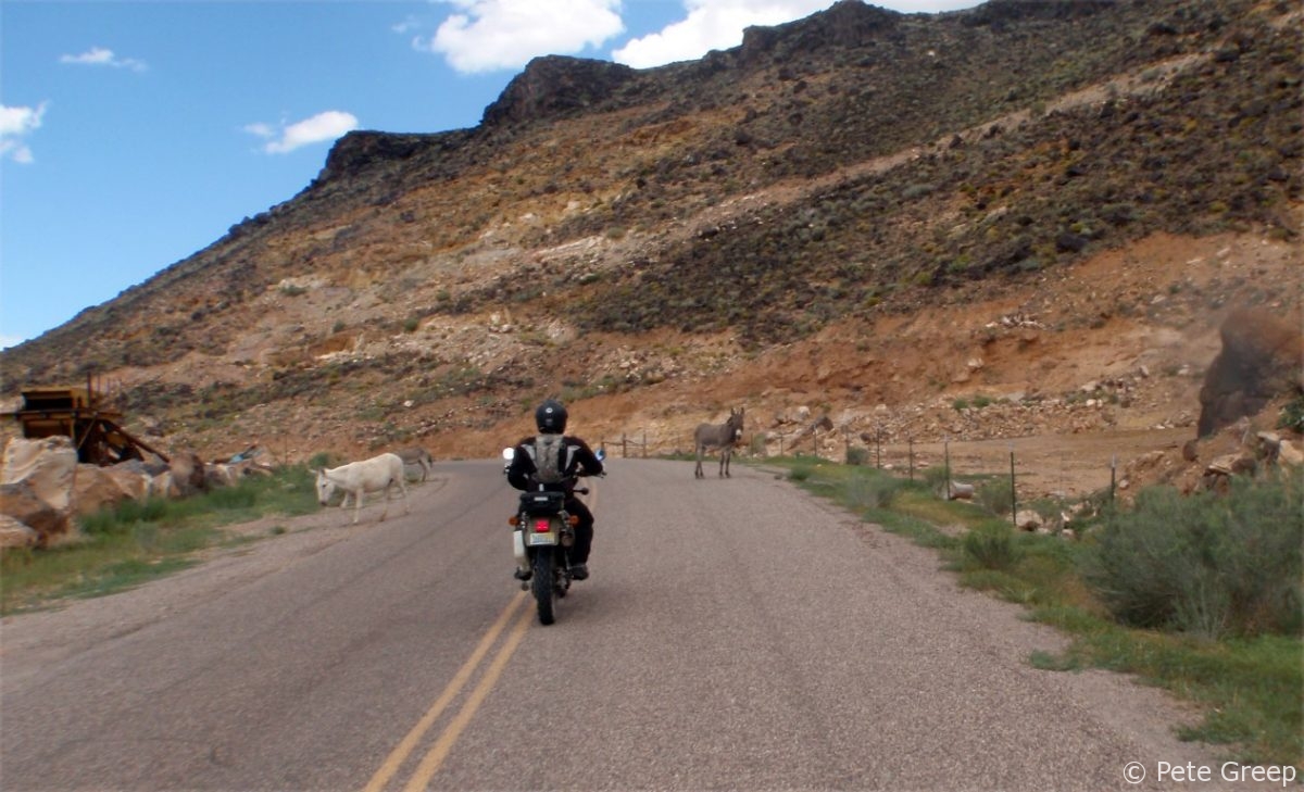 Adventure Ride Report: Henderson, NV to Pine Valley, UT