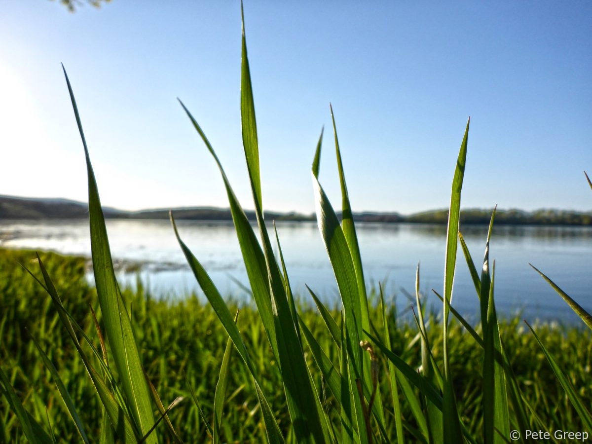 Kolob Reservoir