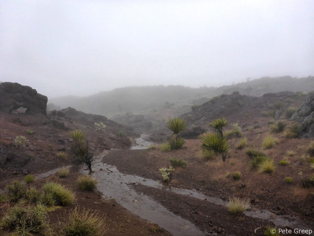 Waterfalls in the Desert: Murl Emery Arch