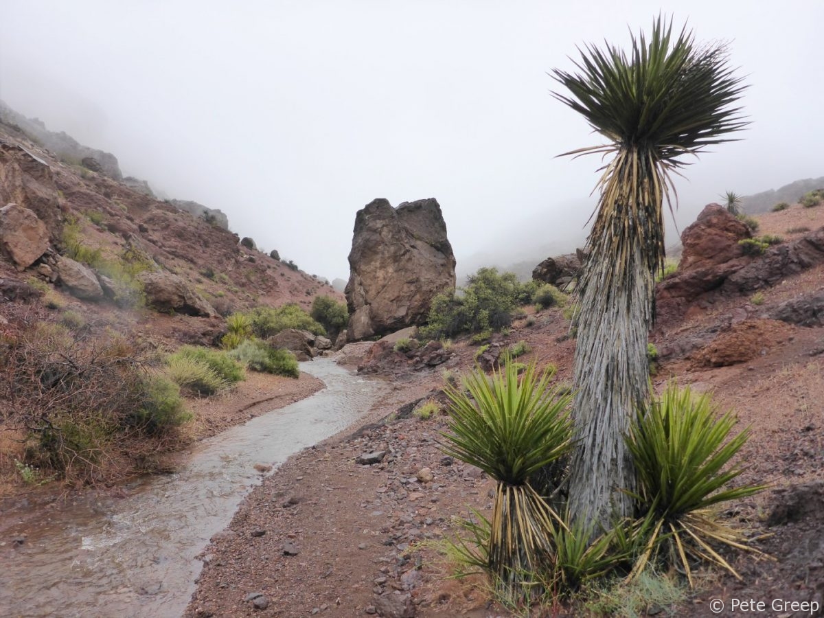 Waterfalls in the Desert: Murl Emery Arch