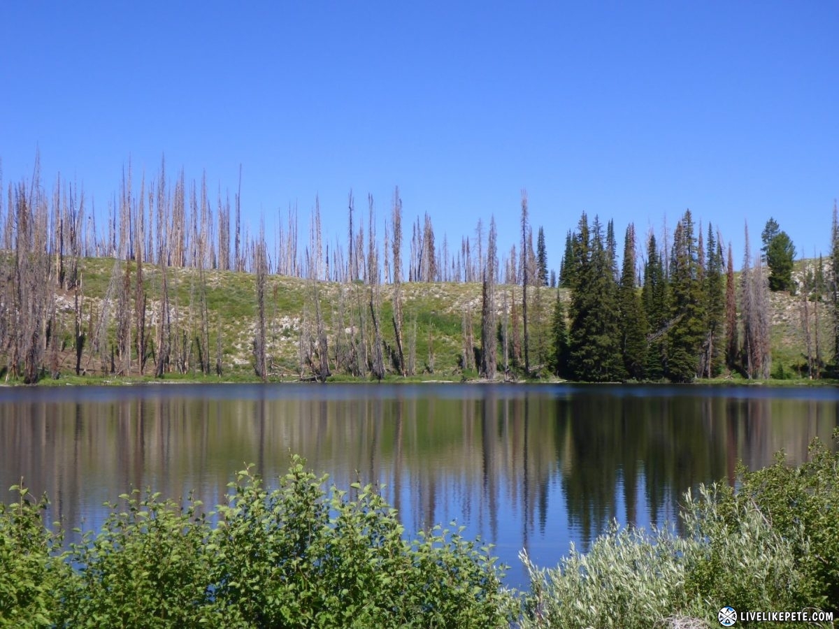 Idaho Backcountry Discovery Route