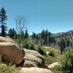 Large granite rock