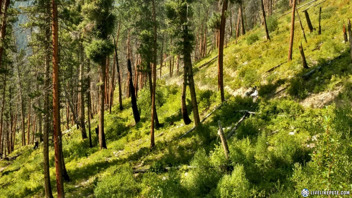 Idaho Backcountry Discovery Route