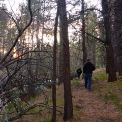 Hiking near the Santa Clara River & PV Reservoir