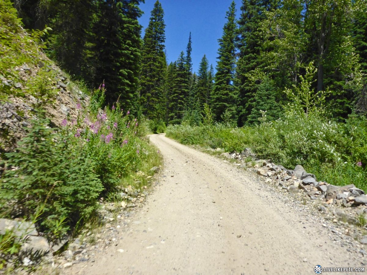 Idaho Backcountry Discovery Route