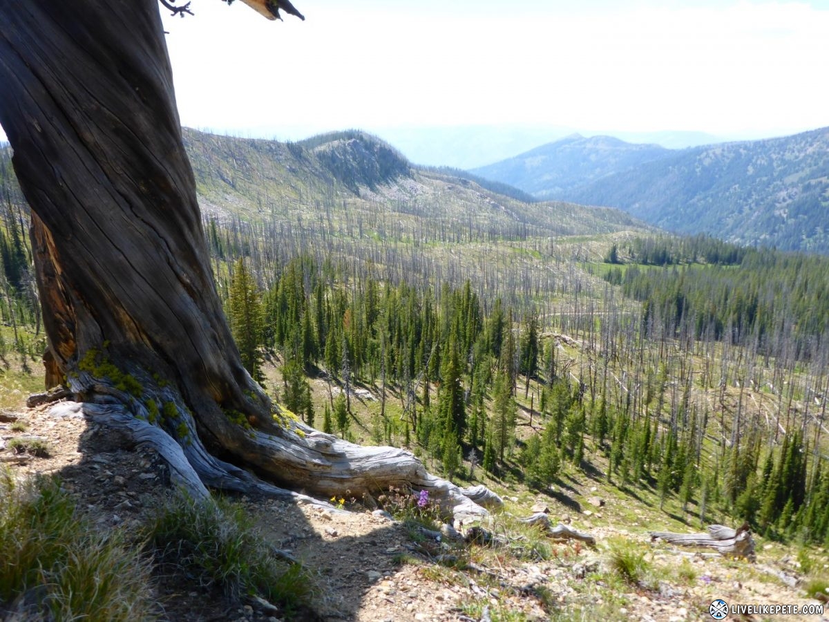 Idaho Backcountry Discovery Route