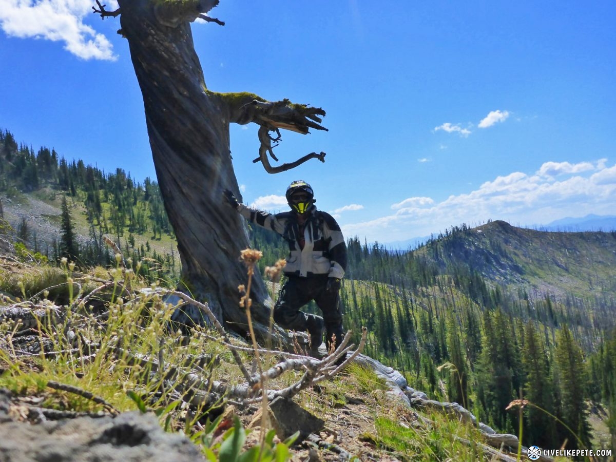 Idaho Backcountry Discovery Route