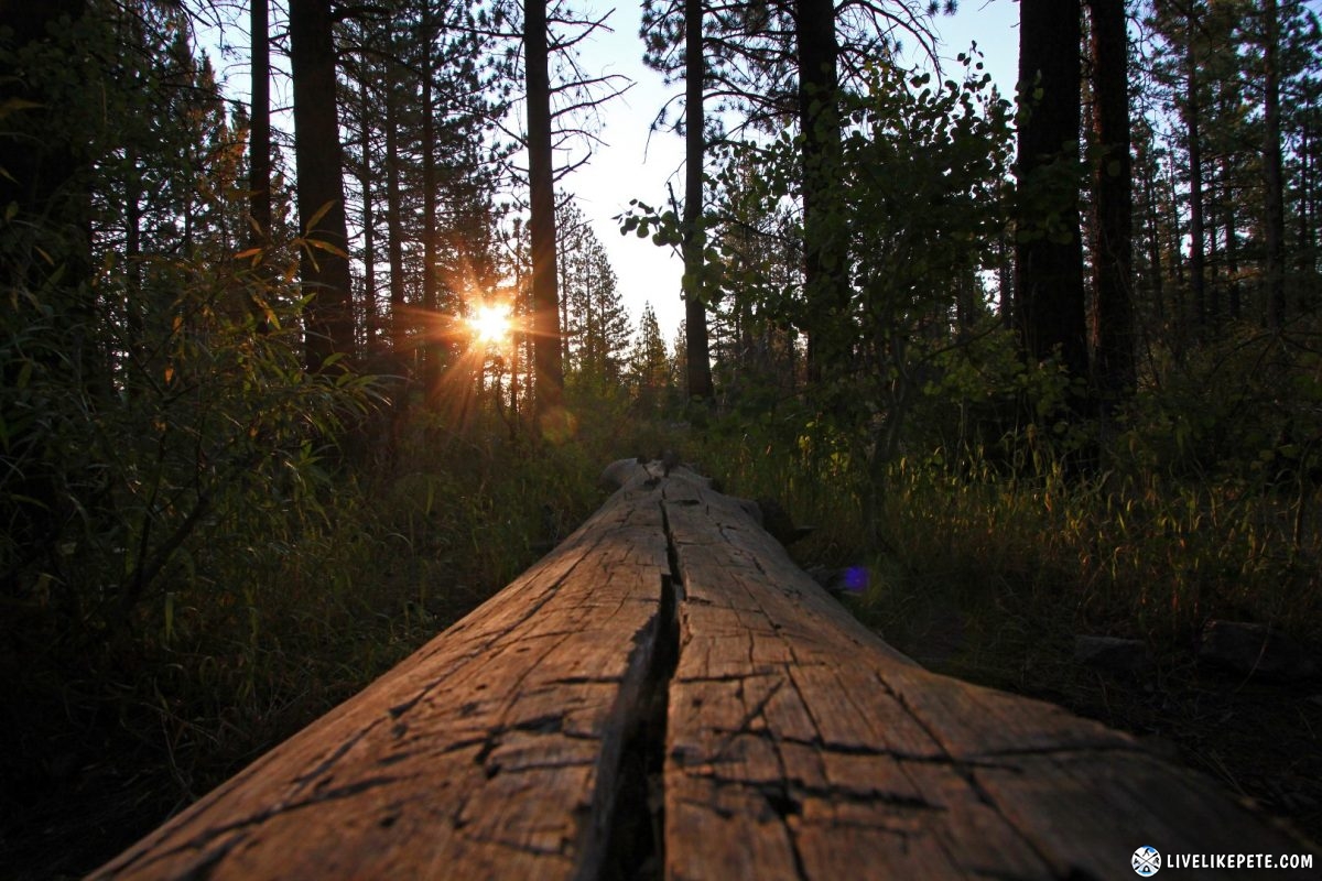 Mammoth Lakes Sherwin Creek Camp