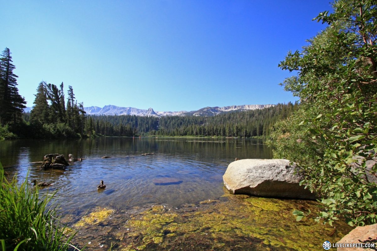 Mammoth Lakes