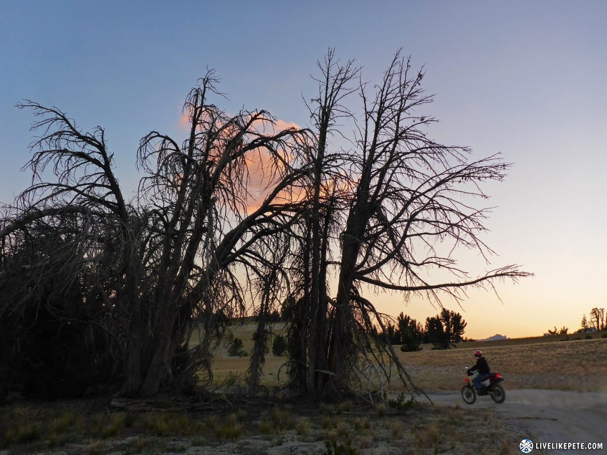 Mammoth Dual Sport Adventure Ride