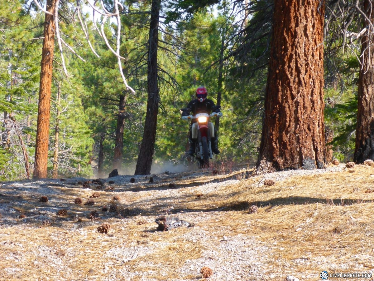 Mammoth Dual Sport Adventure Ride