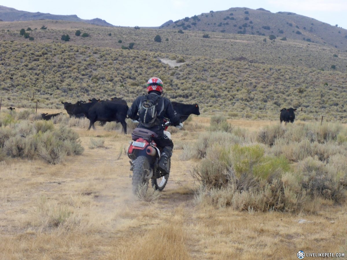 Mammoth Dual Sport Adventure Ride