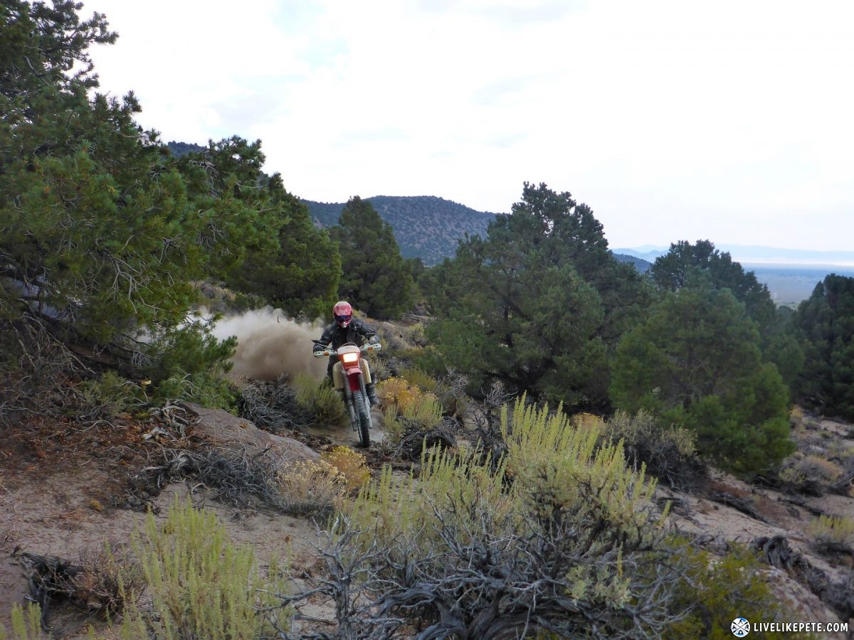 Mammoth Dual Sport Adventure Ride