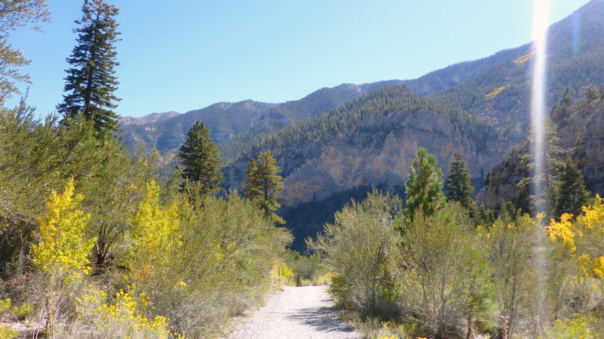 Trail Canyon Mt Charleston