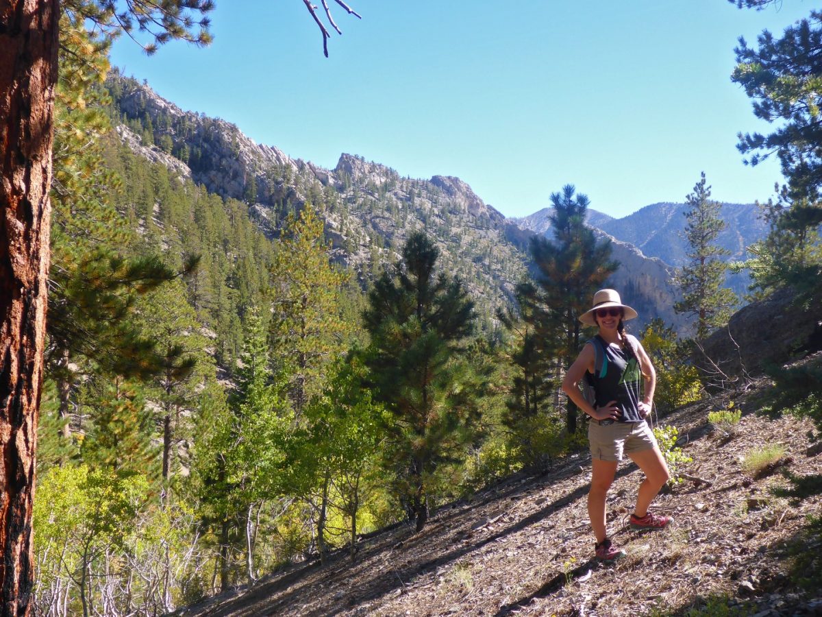 Trail Canyon Mt Charleston