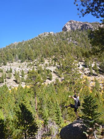 Trail Canyon Mt Charleston