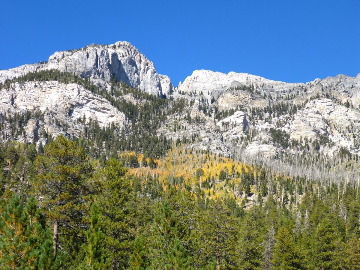 Trail Canyon Mt Charleston