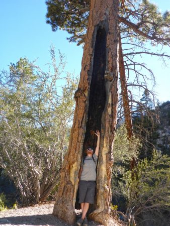 Trail Canyon Mt Charleston