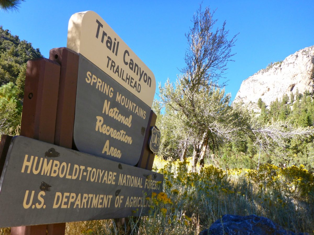 Trail Canyon Mt Charleston