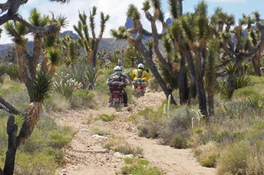 Slow Ride Into The Mojave Preserve
