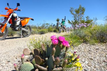 Celebrating Earth Day on 2 Wheels