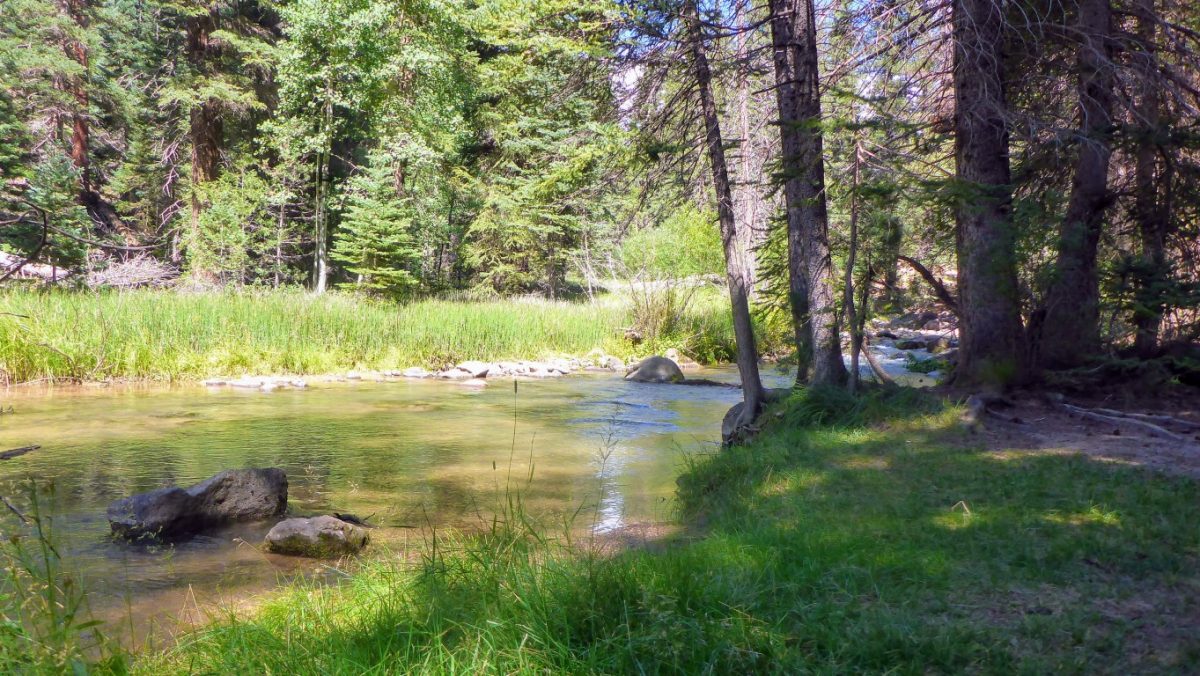 Camping and Trail Riding in Duck Creek, Utah | Live Like Pete